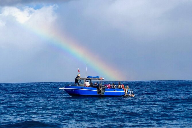 3-Tank Dive Featuring the Molokini Crater - Why this Maui trip is aimed at experienced divers