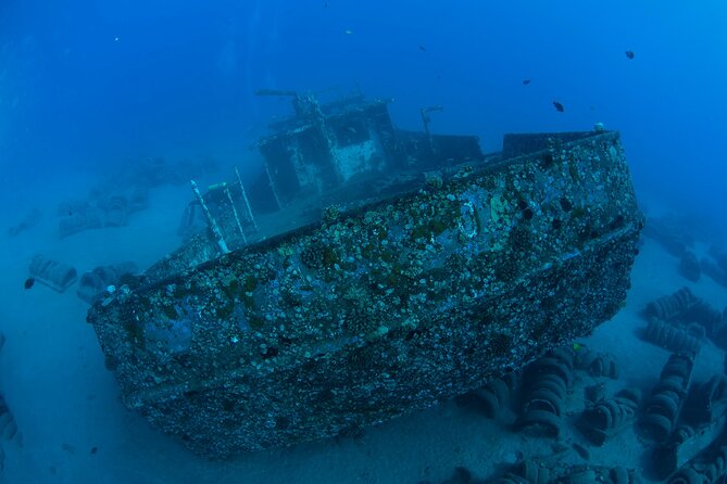 3-Tank Dive Featuring the Molokini Crater - A small group changes the feel of the morning