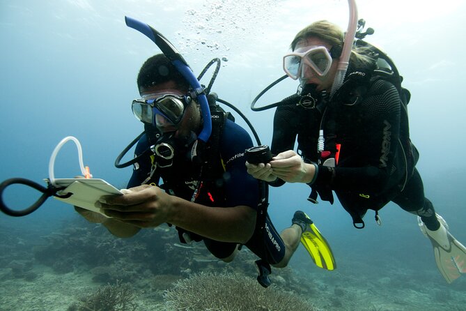 4 Day Certified PADI Open Water Scuba Diver in Dubai - Four open-water sessions off Dubai