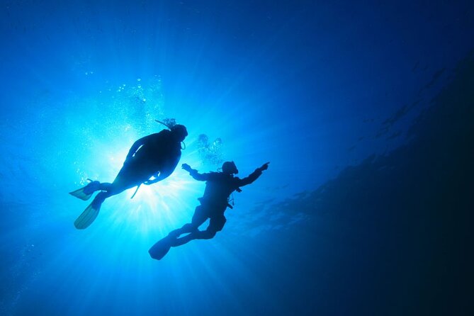 4 Day Certified PADI Open Water Scuba Diver in Dubai - Is $417.26 good value?