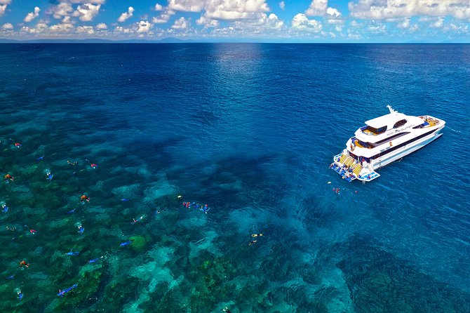 4-Day PADI Open Water Dive Course - Learn to Dive on the Great Barrier Reef - What the Evolution boat adds to the experience