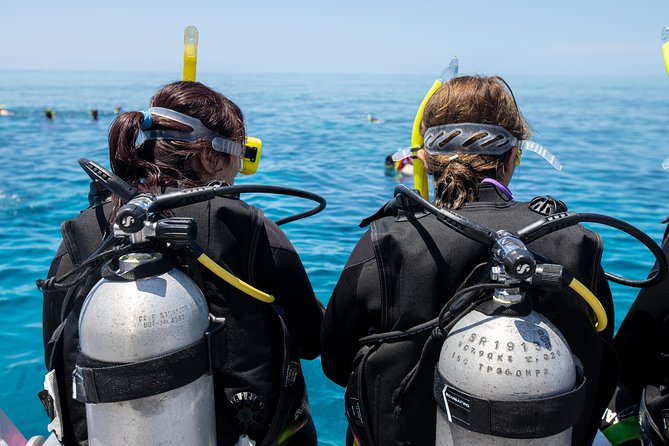 4-Day PADI Open Water Dive Course - Learn to Dive on the Great Barrier Reef - Price and value at $677.79