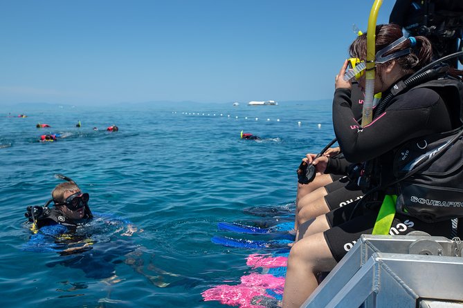 4-Day PADI Open Water Dive Course - Learn to Dive on the Great Barrier Reef - Days one and two: theory, equipment, and pool practice