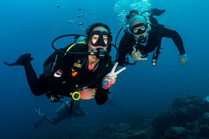 5 Fun Dives in Pemuteran (for certified divers) - Exploration in Menjangan Park - Who will enjoy these five sessions