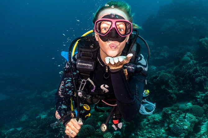 5 Fun Dives in Pemuteran (for certified divers) - Exploration in Menjangan Park - What you may see beneath the surface