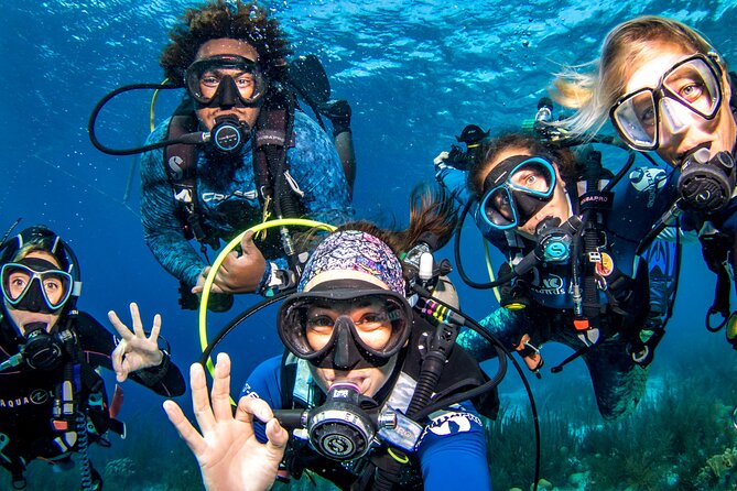 6 days unlimited diving - Key points to know before booking