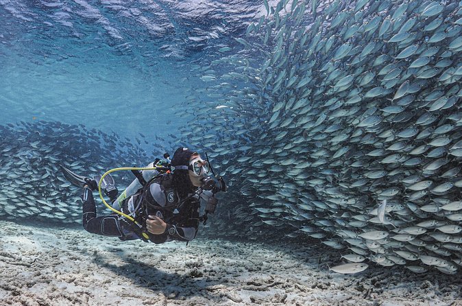 6 days unlimited diving - Equipment, fitness, and responsibility