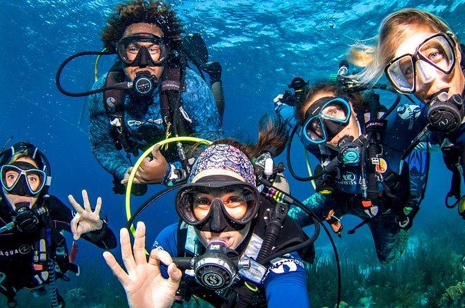 6 days unlimited diving - How much value do you get for $210?