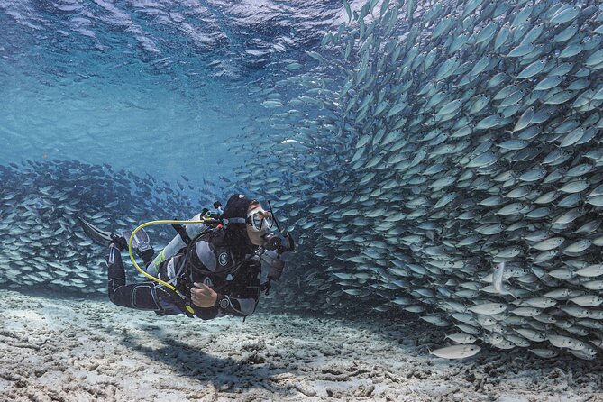6 days unlimited diving - What your daily routine will look like