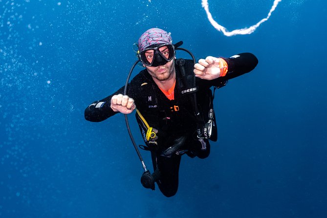 7 Fun Dives in Pemuteran (for certified divers) - Exploration in Menjangan Park - What the three-day format really gives you