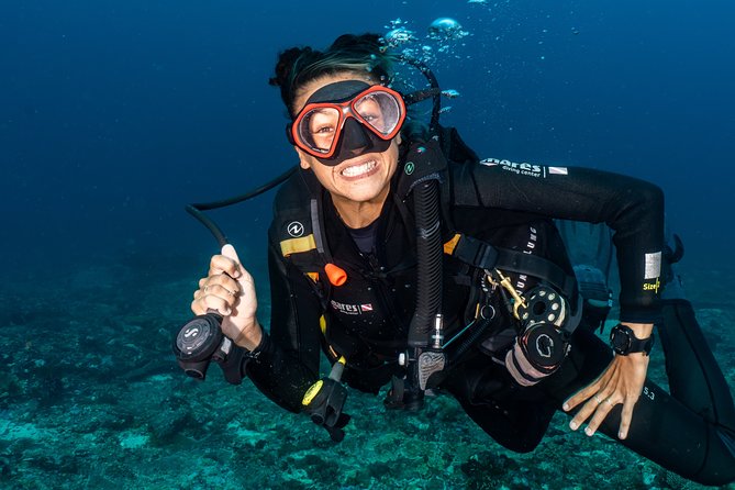 7 Fun Dives in Pemuteran (for certified divers) - Exploration in Menjangan Park - The strongest praise, and the fair warnings
