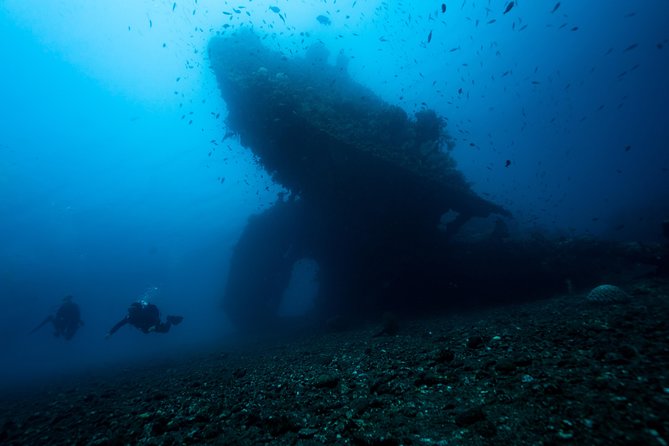7 Fun Dives in Tulamben (for certified divers) - Premium Value Package - Boga wreck and the other underwater settings