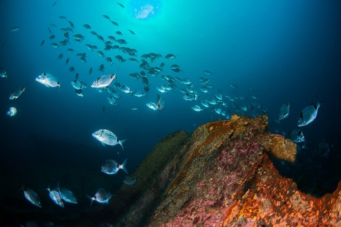 A day at the beach and diving - What the $289.11 price means