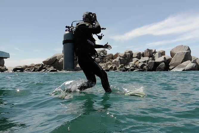 Acapulco Beginners Scuba Diving - Practical booking advice for timing and weather