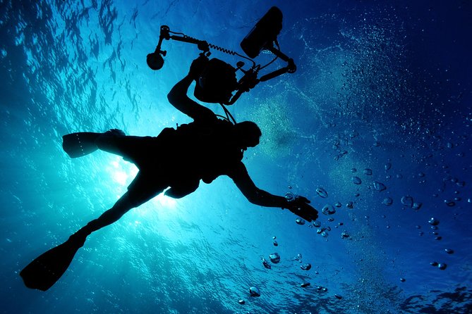 Advanced Open Water Diver course PADI in Playa del Carmen - Starting at 8:00 am in Playa del Carmen