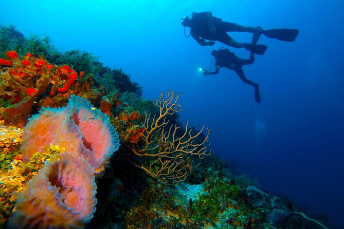 Advanced Open Water Diver course PADI in Playa del Carmen - Equipment, transfers, and what you still need