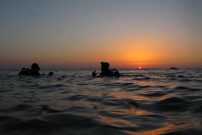 Adventure Dives for Certified Divers in Nea Makri, Athens - Key points at a glance