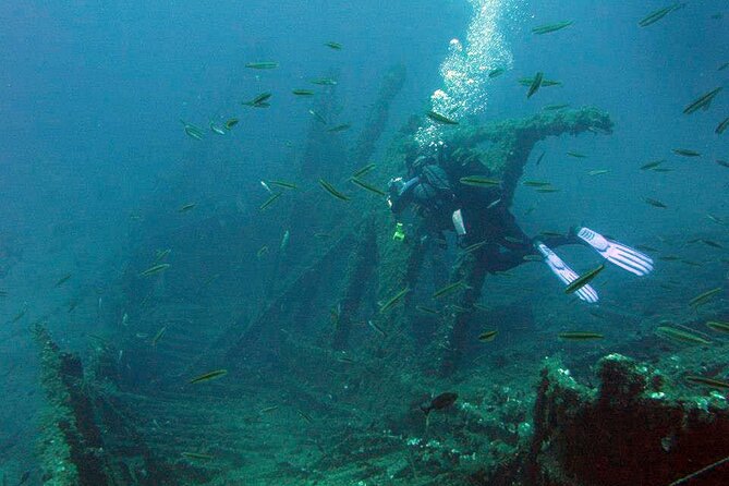 Adventure Dives for Certified Divers in Nea Makri, Athens - The underwater scenery: wrecks, walls, and old seafaring remains