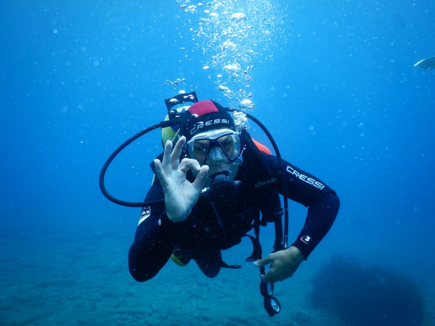 Agia Pelagia: Introduction to Scuba Diving Experience - Should you book the Stay Wet scuba introduction?