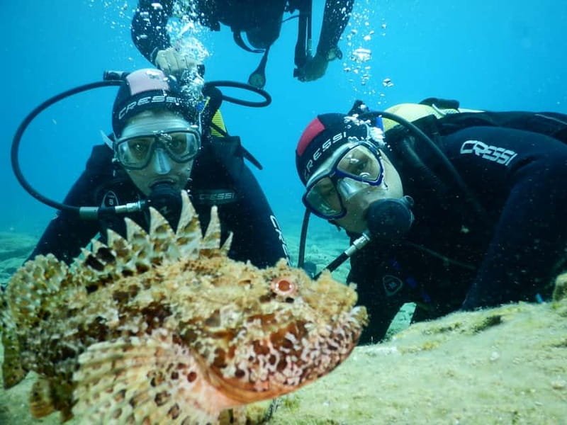 Agia Pelagia: Introduction to Scuba Diving Experience - The 30-minute briefing at Mononaftis Bay