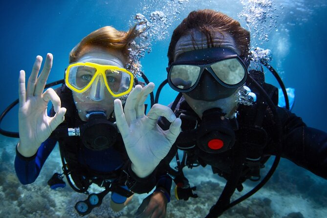 Alanya Scuba Diving Adventure: 2 Guided Dives with Lunch - Alanya scuba tour at a glance