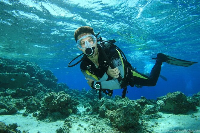 Alanya Scuba Diving Adventure: 2 Guided Dives with Lunch - Starting the day with a marina transfer