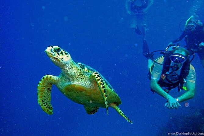 Alanya Scuba Diving Adventure: 2 Guided Dives with Lunch - Waiting on deck, swimming, and keeping the day relaxed