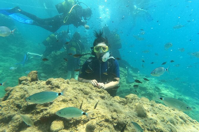 Alanya Scuba Diving Adventure: 2 Guided Dives with Lunch - Lunch between the two sessions