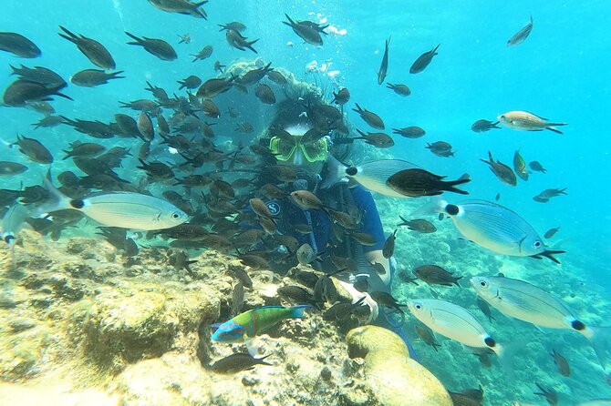 Alanya Scuba Diving Adventure: 2 Guided Dives with Lunch - What the $54.01 price really includes