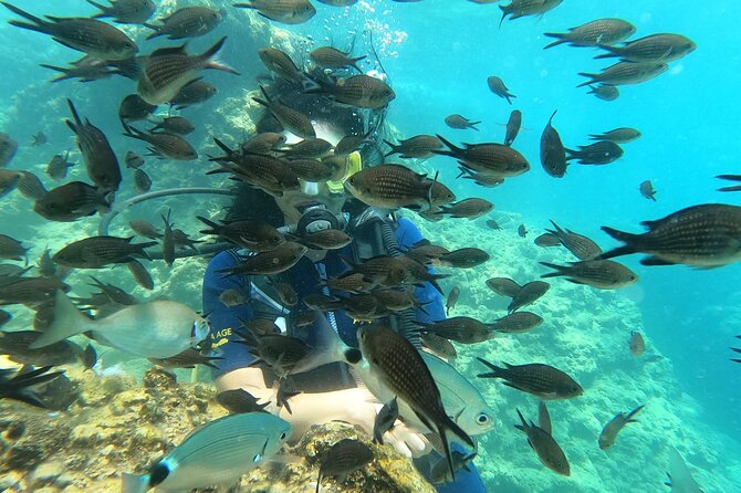 Alanya Scuba Diving Adventure: 2 Guided Dives with Lunch - Staff support is the strongest part of the experience