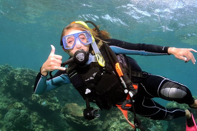 Alanya Scuba Diving Adventure: 2 Guided Dives with Lunch - Who should book this Alanya boat day?
