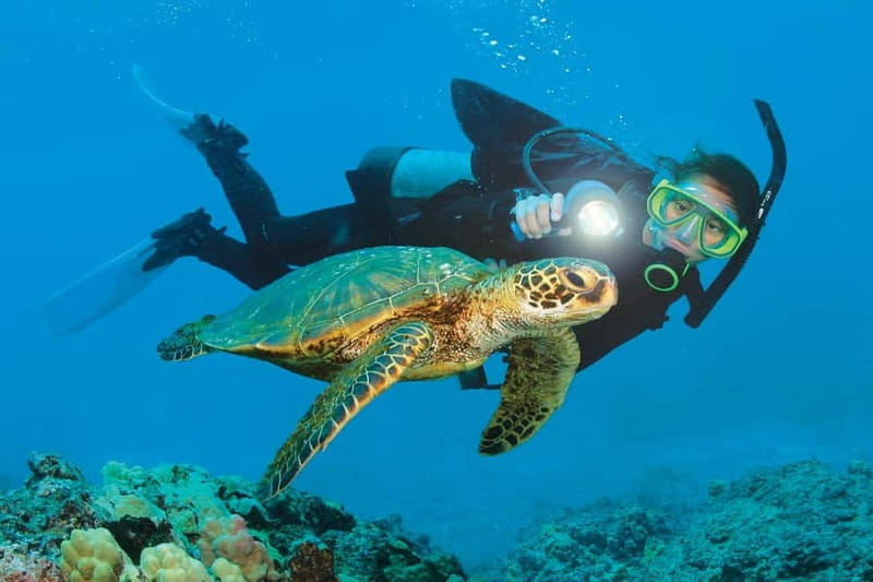 Alanya: Scuba Diving Adventure for Beginners & Professionals - Key points to know before booking