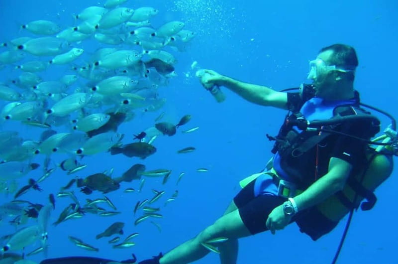 Alanya: Scuba Diving Adventure for Beginners & Professionals - Who should book this Alanya scuba tour?