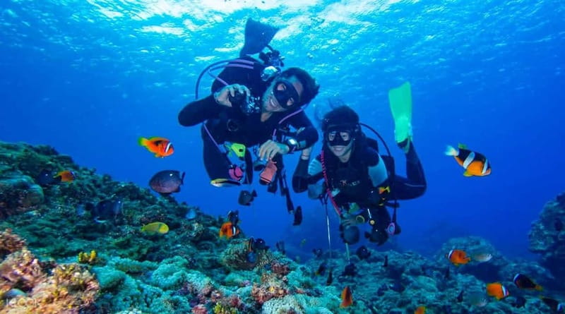 Alanya: Scuba Diving Adventure for Beginners & Professionals - Why this Alanya boat day works for beginners