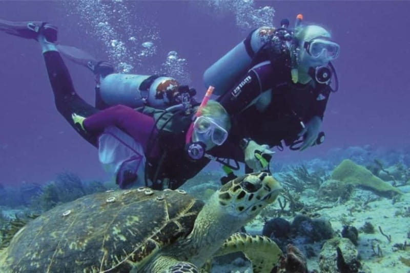 Alanya: Scuba Diving Adventure for Beginners & Professionals - Lunch and a useful break in the middle