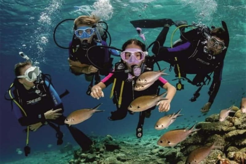 Alanya: Scuba Diving Adventure for Beginners & Professionals - Photo and video rules you should understand