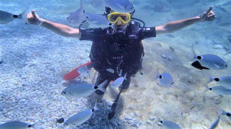 Alanya: Scuba Diving Adventure for Beginners & Professionals - From hotel pickup to the harbor