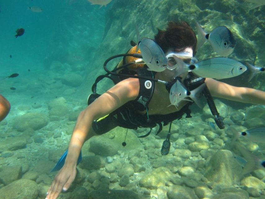Alanya: Scuba Diving Experience with Lunch - The first 20-minute session in Turkish Riviera waters