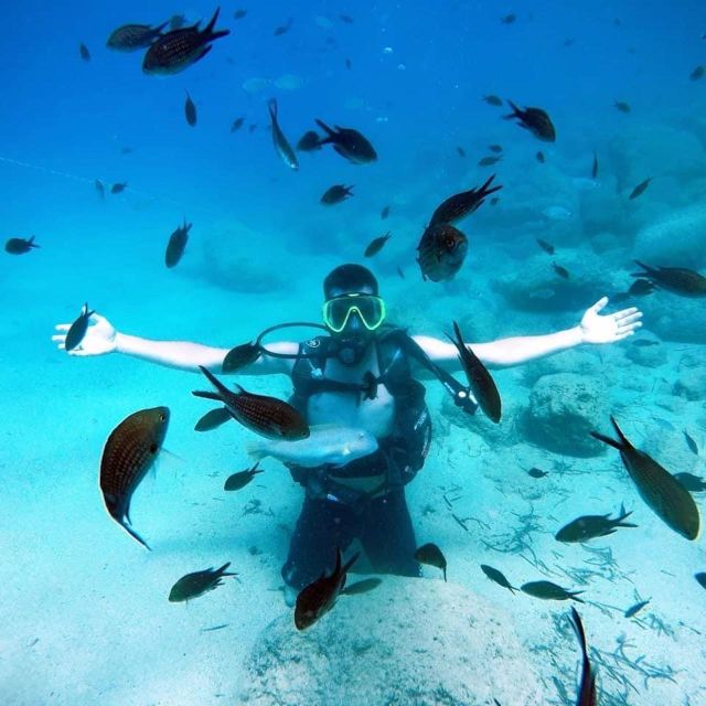 Alanya: Scuba Diving Experience with Lunch - The second 20-minute session and underwater fish