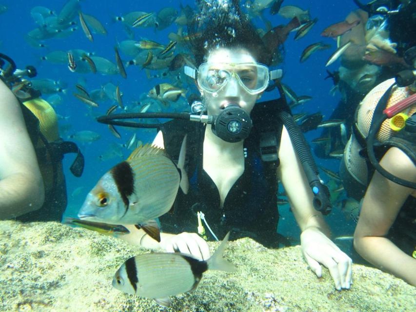 Alanya: Scuba Diving Experience with Lunch - Who gets the best value from this outing