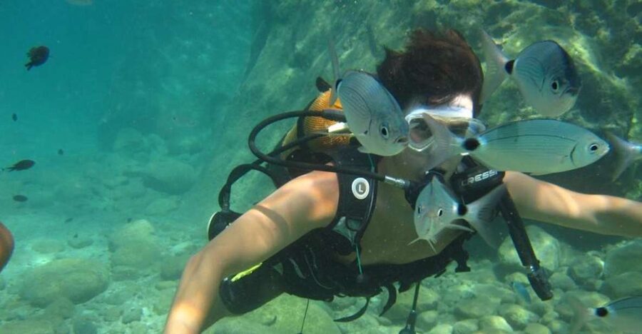 Alanya: Scuba Diving Experience with Lunch - From your hotel to Alanya Marina at 9:30 am