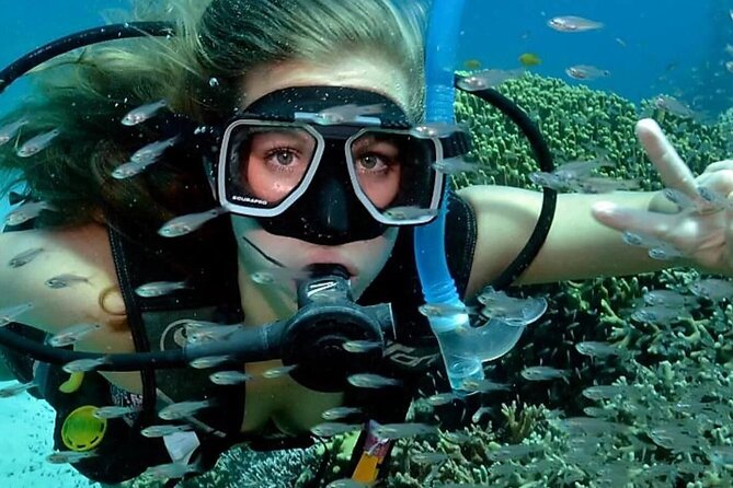 Alanya Scuba Diving for Beginners - The second session adds value to the $42.33 price