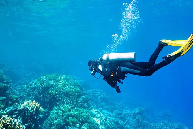 Alanya : Scuba Diving for Beginners w/ Lunch and Transfer - Starting at the hotel security gate around 8:00 am
