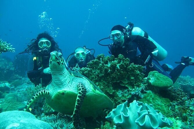 Alanya : Scuba Diving for Beginners w/ Lunch and Transfer - Is $36.04 good value?