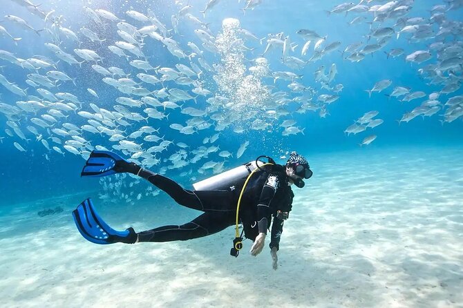 Alanya : Scuba Diving for Beginners w/ Lunch and Transfer - Meeting the instructor and learning the basics