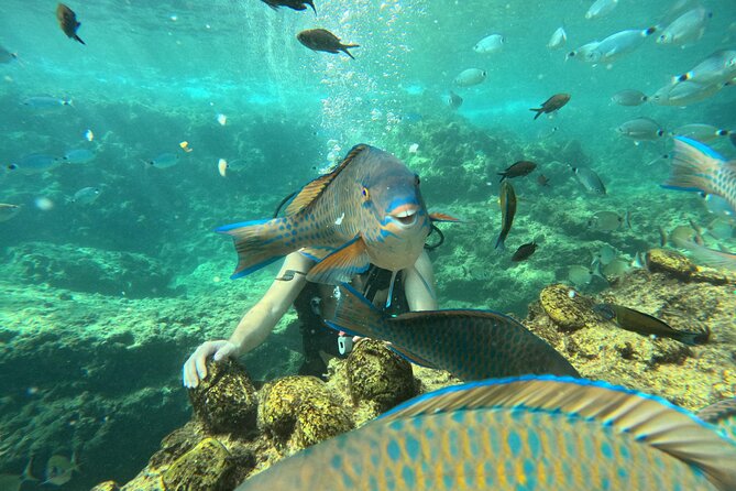 Alanya Scuba Diving for Beginners - The first underwater session at beginner-friendly depths