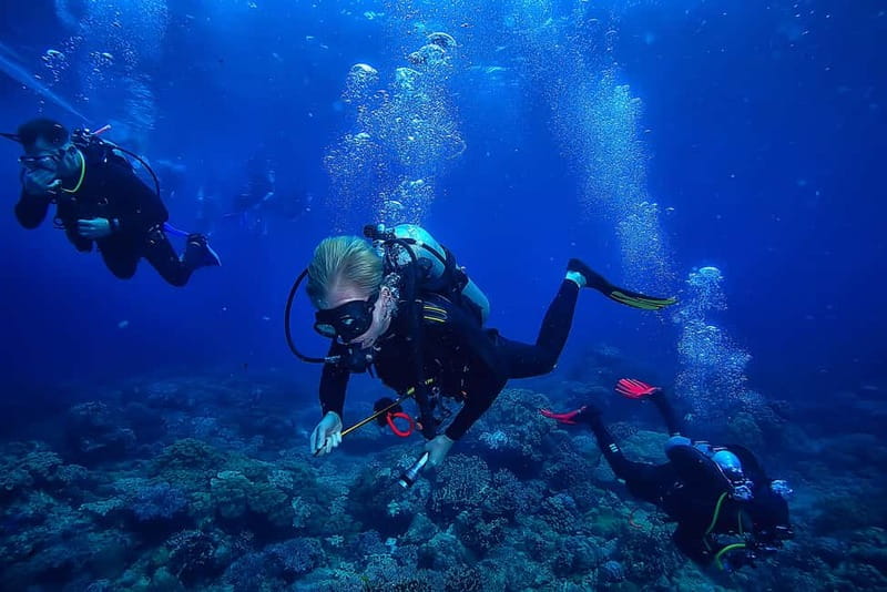 Alanya: Scuba Diving Tour with Lunch and Hotel Transfers - Leaving your Alanya hotel for the sea