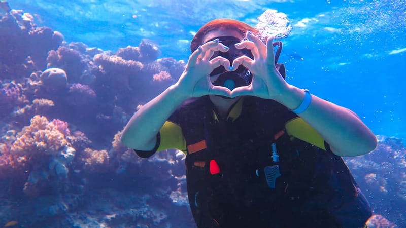 Alanya: Scuba Diving Tour with Lunch and Hotel Transfers - Is $70 good value for a full day?