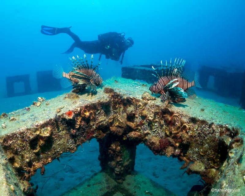 Alanya: Scuba Diving Tour with Lunch and Hotel Transfers - Who should book this Alanya scuba tour?