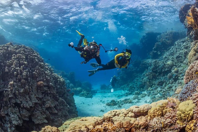 Alanya: Scuba Diving Tour with Lunch and Hotel Transfers - Getting comfortable before your first underwater session